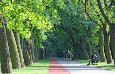 Beautiful city park with treadmill and man running on roller skates