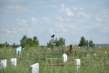 Raven on the cross on the background of the cemetery