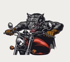 Angry wolf motorcyclist riding motorbike