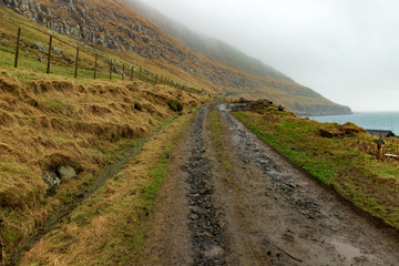 Fototapeta na wymiar Foggy path in the Faroe Islands