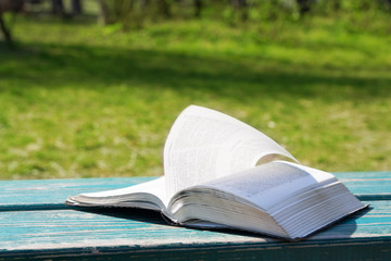 Open bible in sunlight on a background of green nature