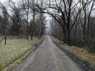 Fototapeta premium Country Road in the Woods