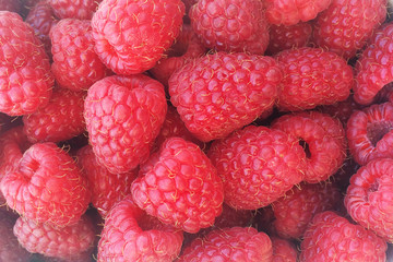 close up photo of red juicy raspberry background, healthy delicious food 