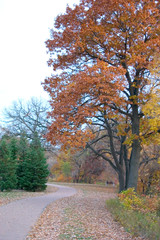 Path along the South Mississippi River Boulevard which over looks the Mississippi River. St Paul Minnesota MN USA