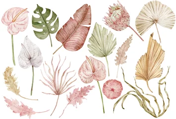 Aquarellfarbene tropische Cliparts mit Palmblättern, Protea- und Anthuriumblumen, getrocknetem Gras. Exotisches Set © annakonchits