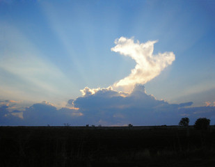 White air clouds in the sky