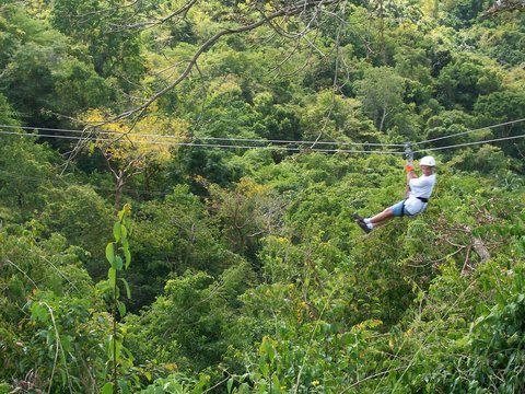 Man Zip Lining In Forest