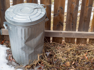 trash can in the park