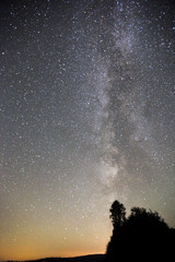 The milky way night sky above trees.