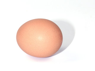 chicken egg isolated on white background.