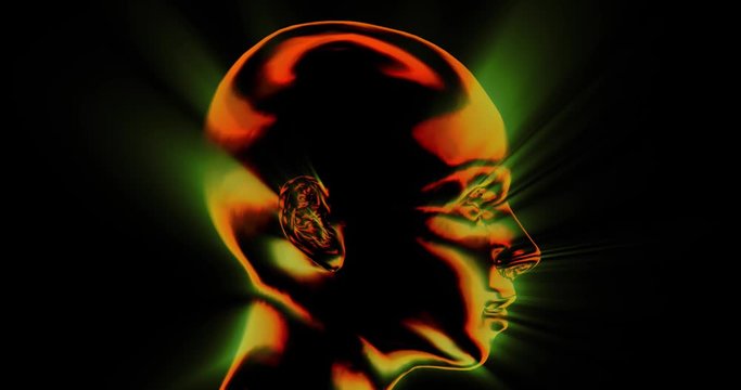 Smoke , fluid , gas forming shape of human female face profile. Subtle light rays shining through. 
Fluid patterns transforming slowly . 3d animation
