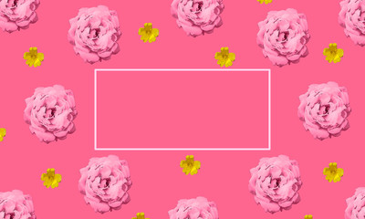 Floral background with pink roses and yellow portulaca flowers isolated against a pink background. Illustration has blank, empty text box with copy space with room for text. Great for mother's day.