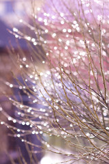 Light Christmas background decorations Abstract disco shimmering tree lights glitter streets Blurring Romantic shoot dreamy lavender backgrounds colorful play Diamonds defocused blinking Blurred