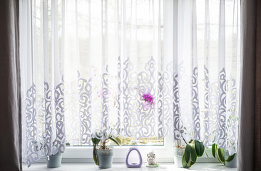 View of the window in the apartment. The concept of interior and decorative windows in the apartment, house. Flowers on the windowsill and curtains.