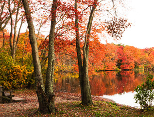 Southards Pond in Autumn