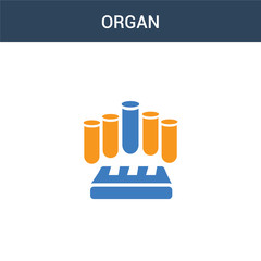 two colored Organ concept vector icon. 2 color Organ vector illustration. isolated blue and orange eps icon on white background.