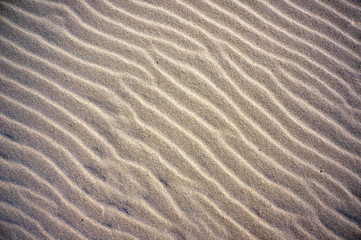 Fototapeta na wymiar Wavy lines pattern on sand of dunes on beach.