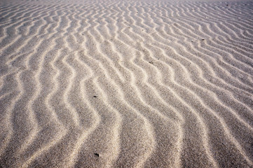 Wavy lines pattern on sand of dunes on beach.