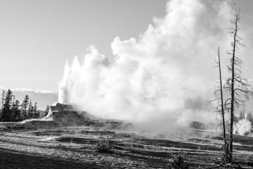 Castle Geyser erupting in the late evening light at Yellowstone National Park