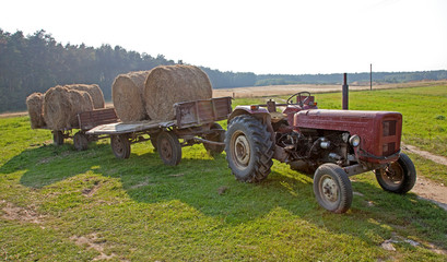 Round hay bales loaded on farmer's wagons ready to be transported by tractor to the barn for storage. Zawady Gmina Rzeczyca Poland