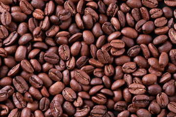 Macro of roasted arabica coffee beans (Coffea arabica) in line isolated on a black textured...