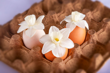 Obraz na płótnie Canvas eggs with spring flowers, decor, colorful easter background