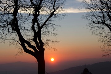 Sunset through tree branches from Perugia, Italy