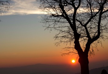 Sunset through tree branches from Perugia, Italy