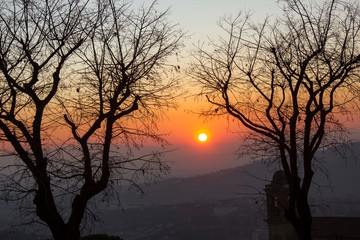 sunset through tree branches on Perugia landscape, Italy