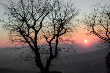 Naklejka premium sunset through tree branches on Perugia landscape, Italy