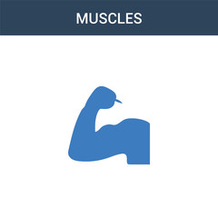 two colored Muscles concept vector icon. 2 color Muscles vector illustration. isolated blue and orange eps icon on white background.
