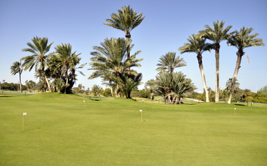 Pole golfowe Djerba Tunezja