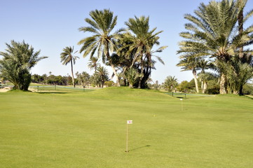 Pole golfowe Djerba Tunezja - obrazy, fototapety, plakaty