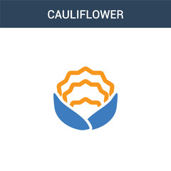 two colored Cauliflower concept vector icon. 2 color Cauliflower vector illustration. isolated blue and orange eps icon on white background.