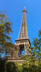 Eiffel Tower with trees