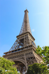 Eiffel Tower with trees