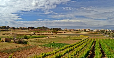 Fototapeta na wymiar Rural side of Gozo
