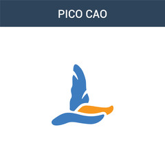 two colored Pico cao concept vector icon. 2 color Pico cao vector illustration. isolated blue and orange eps icon on white background.
