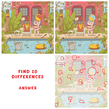 Two cats playing with the ball in the swimming pool. Find 10 differences game for children.