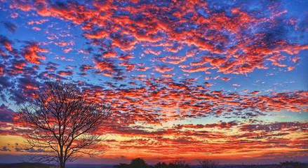 Obraz na płótnie Canvas Spectacular sunset, Amazing sunset, beautiful Cloud, Sly Fire