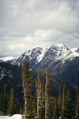 snow covered mountains