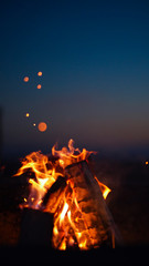 Portrait Bonfire