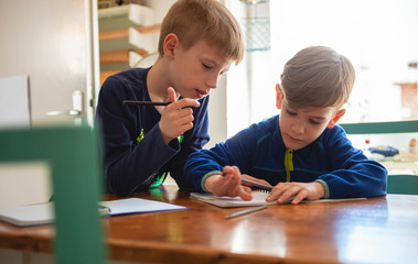 Brothers learning at home, Homeschooling
