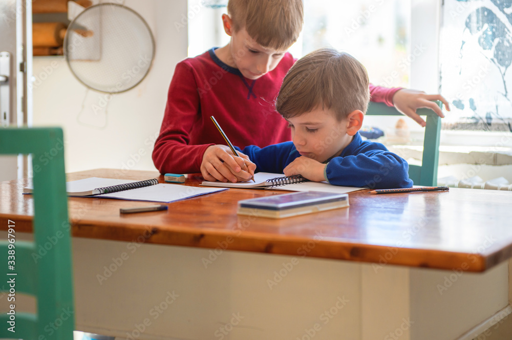 Wall mural brothers learning at home, homeschooling