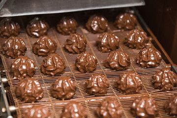 production of cakes and confectionery products at the enterprise.