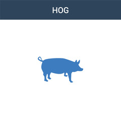 two colored Hog concept vector icon. 2 color Hog vector illustration. isolated blue and orange eps icon on white background.