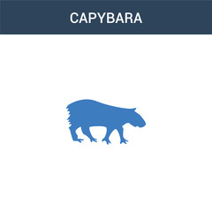 two colored Capybara concept vector icon. 2 color Capybara vector illustration. isolated blue and orange eps icon on white background.