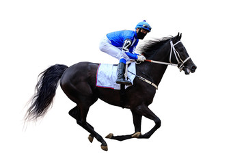 horse racing jockey isolated on white background