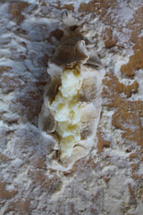 Stage of preparation of Karelian pies -Pirakka. Pies are located on a wooden board, being filled ready for baking. Dish of national cuisine - piirakka. Close-up.