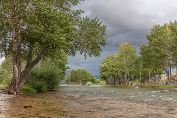 green oasis. Mountain river Altai mountains, Mongolia